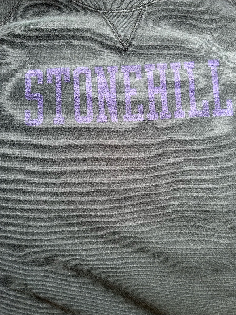 Champion Reverse Weave Stonehill
Crewneck Sweatshirt M Black Purple - Picture 8 of 10